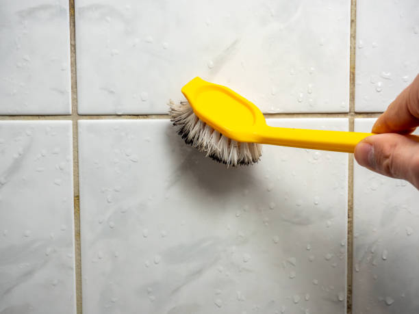 Best Professional Mold Removal  in Haynesville, LA