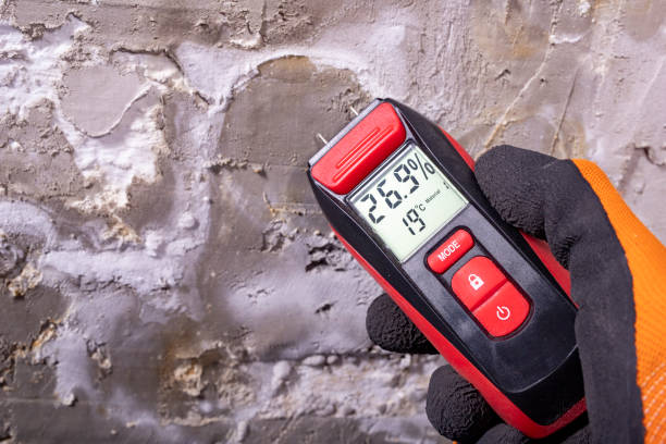 Best Toxic Mold Removal  in Haynesville, LA